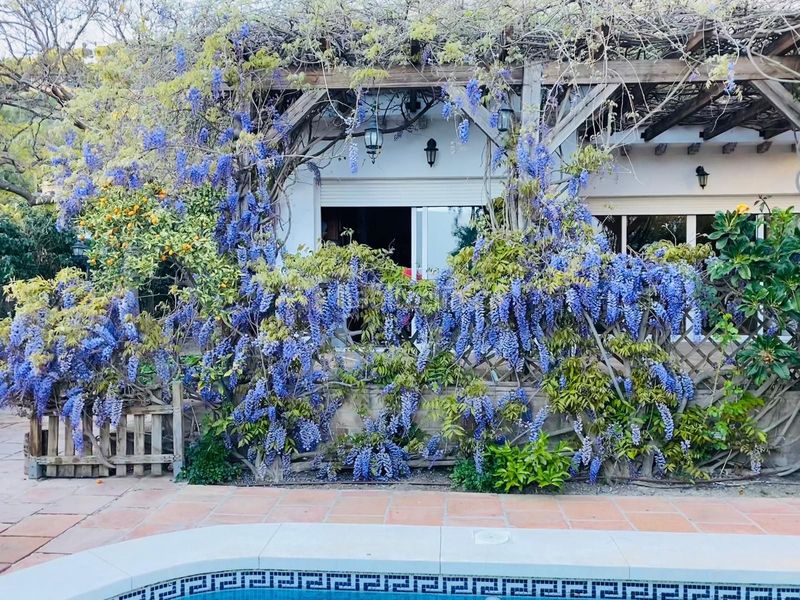 Foto 25f56da0-3e6b-49c4-bda4-b15f5bc5ba1b. Casa in leoni benabú in Pinares de San Antón Málaga