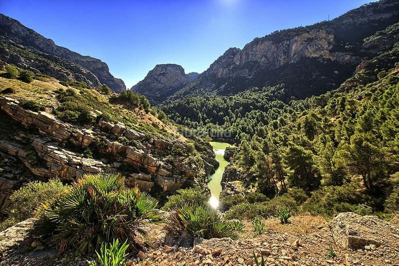Foto 52324f09-6ab4-400d-83e0-43f0fb4154f4. Terrain résidentiel dans Centro Alhaurín el Grande