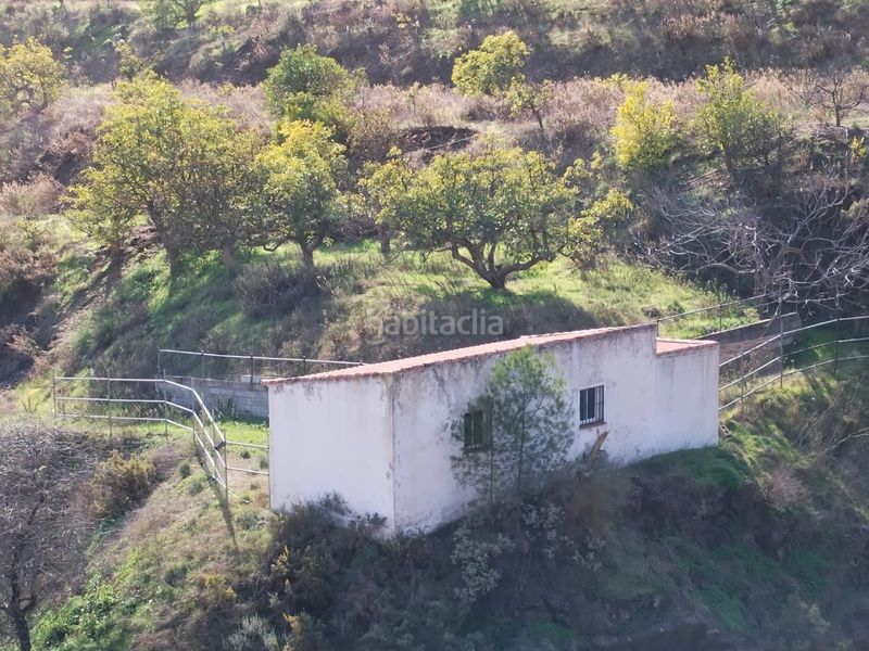 Foto b27e623d-68e1-43cb-8109-9924bd6632c6. Masia a de las viñas a Alozaina