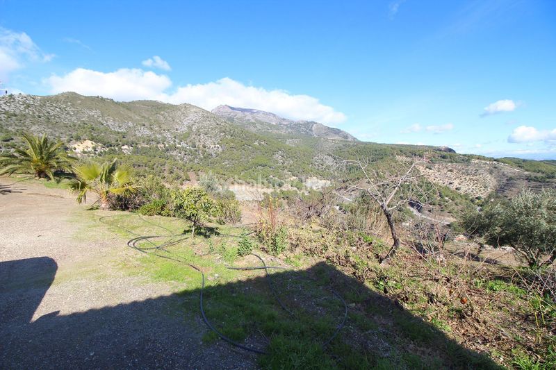 Foto 1273e005-a834-4e33-8d94-a1d9312bc431. Mas dans loma del pocito dans Alozaina