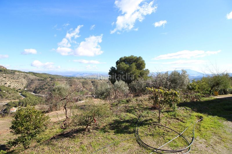 Foto a1d6d47d-7792-4345-aa67-2e731a224444. Mas dans loma del pocito dans Alozaina