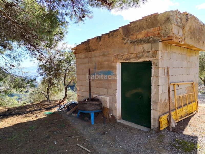 Foto a38d44ae-6d6a-4f9c-9b54-a552ce3113c3. Mas dans loma del pocito dans Alozaina