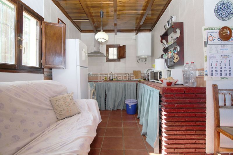 Foto e5e19efc-57f7-433f-a9c4-719f5abe70f0. Mas dans loma del pocito dans Alozaina