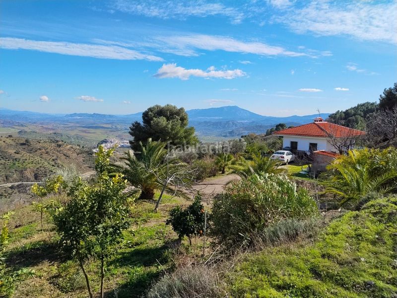 Foto ffc18087-54d7-4f28-a8af-5cfba46b8c31. Mas dans loma del pocito dans Alozaina
