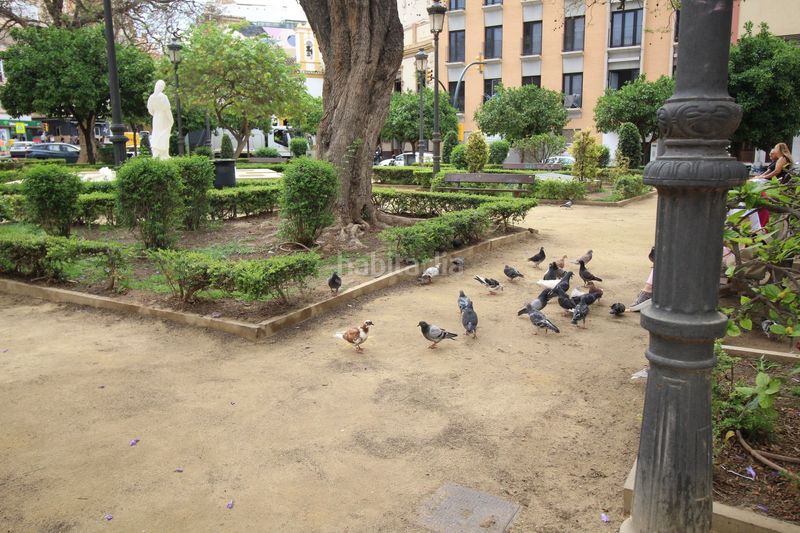 Foto d8b916de-3974-4464-bbed-911a6492a86a. Estudi a galatas 5 a Cristo de la Epidemia Málaga