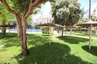 Rent Flat  Pacifico 38. Magnifico piso con terraza  a 100 mtrs de la playa. piscina. zon