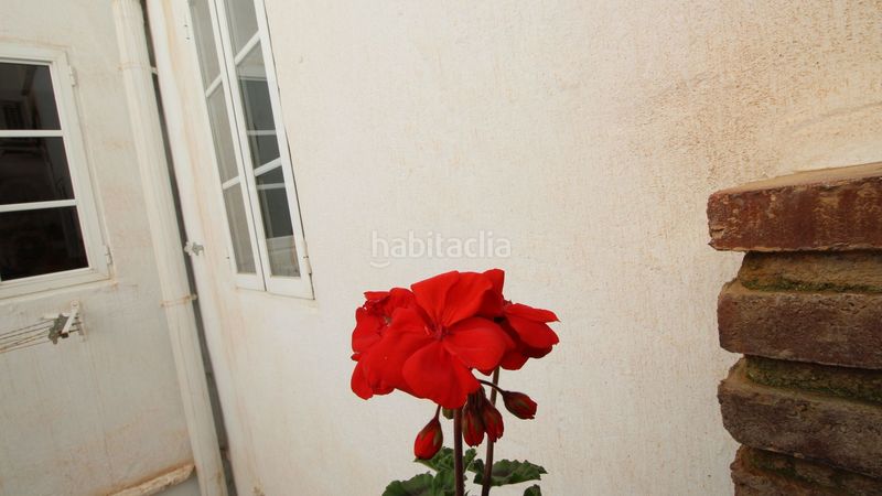 Foto 8ddb5adf-6323-4e19-b6b7-d004e719df27. Piso en alamos 23 tranquilo y luminoso piso en edificio señorial de 1850. terraza privada. centro historico malaga en Málaga