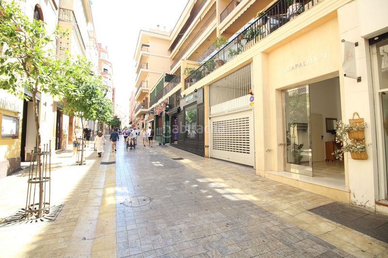 Foto 7fb62b42-454c-4810-b705-e6d1d57abed3. Pis a casapalma 4 a Centro Histórico Málaga