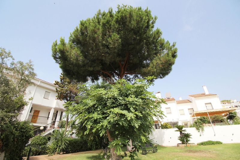 Foto 41786052-2930-4bf2-ba33-e5211182a56d. Penthouse in hernan nuñez de toledo 14 in Pinares de San Antón Málaga
