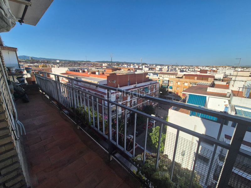 Foto 7208f05a-7d0d-4e80-9902-81a410f52fdd. Pis a Viñuela - Rescatado Córdoba