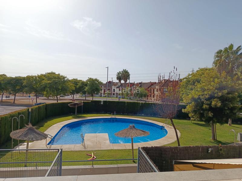 Foto 51792591-389e-4dbc-999e-2318d35b2be0. Miete studiowohnung mit heizung pool in Tablero Bajo - Arruzafilla Córdoba