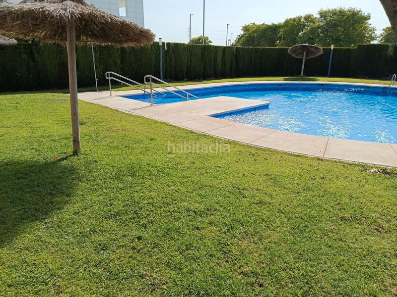 Foto 0006acb4-5a3e-4186-b37f-fe95a96eeb05. Rent studio with heating pool in Tablero Bajo - Arruzafilla Córdoba