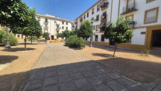Pis a Plaza Félix Rodríguez de la Fuente
