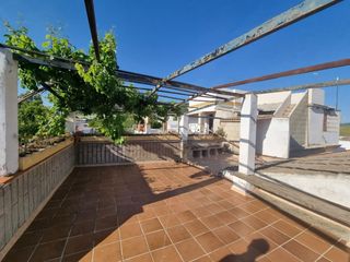 Masia a Arcos de la Frontera. Se vende dos casas en zona de la perdiz