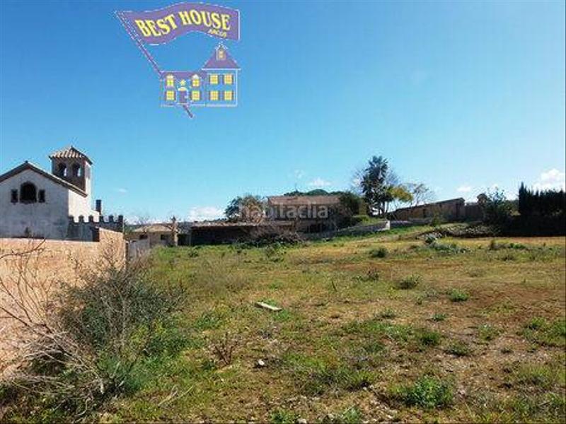 Foto 1e499c2e-ebec-4ec1-b3d3-f5599edd69a1. Finca rústica a Arcos de la Frontera