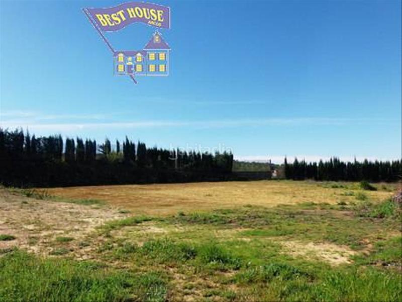 Foto 5cb0408e-1da3-4e69-9fe1-006394a04b17. Finca rústica a Arcos de la Frontera