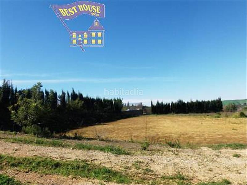 Foto 64db1e90-8fef-4819-a2c9-e4b886e1b23c. Finca rústica a Arcos de la Frontera