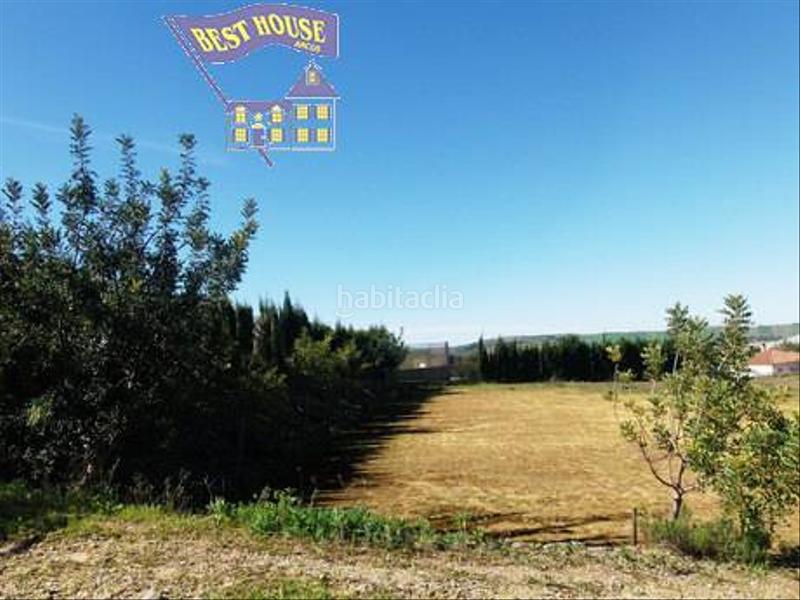 Foto ce13b431-e987-4f6f-80e2-af01bf8b0970. Finca rústica a Arcos de la Frontera