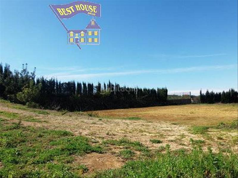 Foto f3c3e960-798d-483c-9422-8002db190c4c. Finca rústica a Arcos de la Frontera