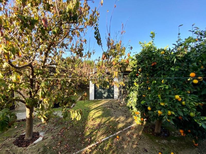 Foto 8692ce1c-bac7-44b0-9232-ce2cb7a00907. Xalet amb aparcament piscina a Arcos de la Frontera