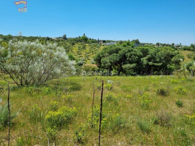 Foto 0af2e77b-da15-48d7-a38d-d4e197c03c8a. Finca rústica a Arcos de la Frontera