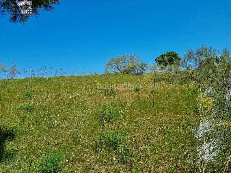 Foto 9141d4a0-e626-40dc-ad12-6b309830c01b. Finca rústica a Arcos de la Frontera