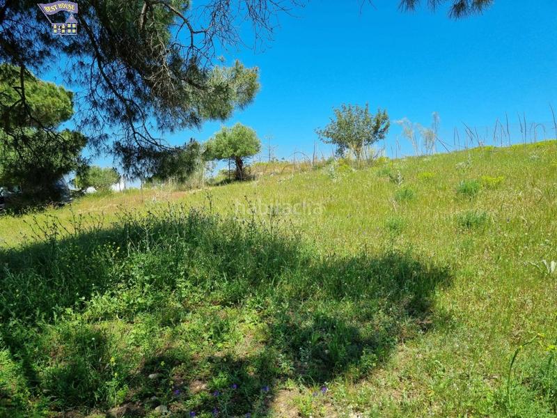 Foto a5bde6c4-472e-4877-b8ca-aec5357273fa. Finca rústica a Arcos de la Frontera