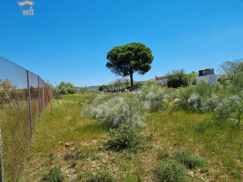 Foto b2fc1657-8825-47b4-bfb4-01717734e7f3. Finca rústica a Arcos de la Frontera