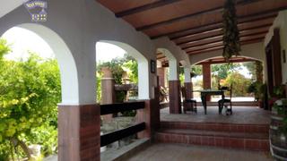 Mas à Arcos de la Frontera. Venta finca en carretera algar