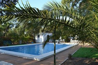 Masia a Arcos de la Frontera. Se vende finca de recreo con 14 hectareas en arcos de la fronter