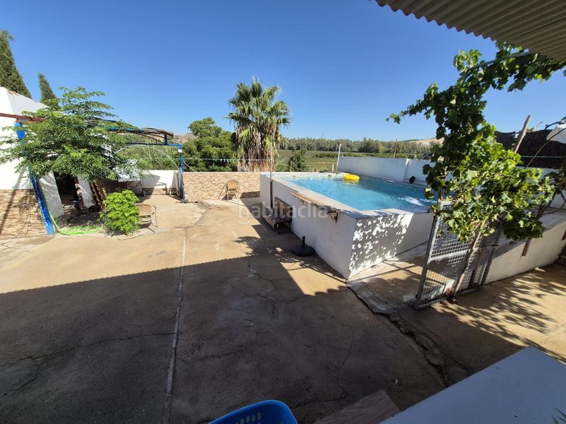 Foto b2a1f010-c2ec-453a-a6f5-34caa670fa50. Casa amb piscina a Arcos de la Frontera