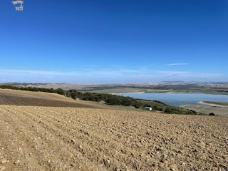 Masia a Arcos de la Frontera. Se vende finca rustica