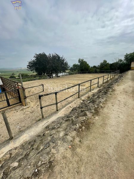 Foto 16f9b085-a1ac-41a4-af0e-9bdca103544c. Masia a Arcos de la Frontera