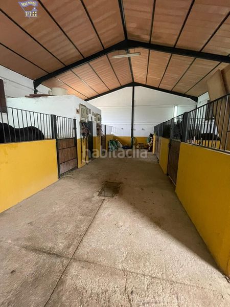 Foto 1cddf7ed-2cda-4b65-8be0-986337349522. Masia a Arcos de la Frontera
