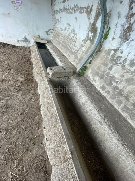 Foto 5e890fb3-893d-4118-8897-c9f1e5367ef8. Masia a Arcos de la Frontera