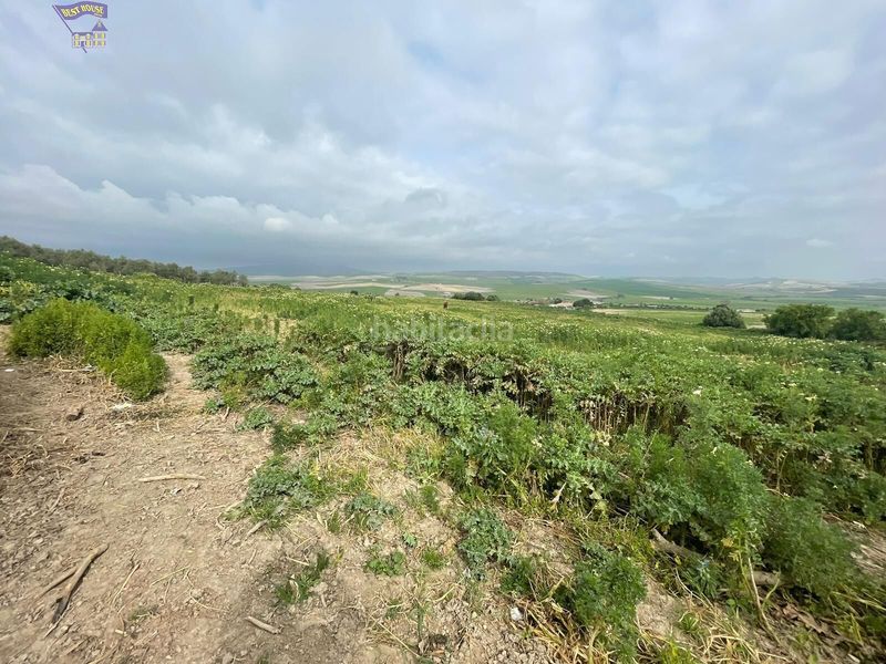 Foto f1ad1c5c-1722-4401-b62b-3ad510ff245b. Masia a Arcos de la Frontera