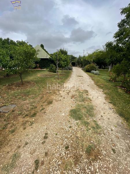 Foto b757be74-1866-4c99-bc48-7d5acf9601e5. Masia amb piscina a Arcos de la Frontera