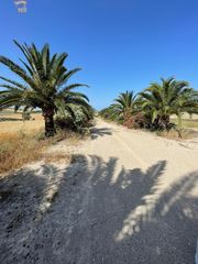 Masia a Arcos de la Frontera. Se vende finca rústica en arcos de la frontera
