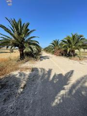 Masia a Arcos de la Frontera. Se vende finca rústica en arcos de la frontera