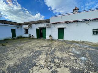 Masia a Arcos de la Frontera. Finca con local en venta por la zona el romeral