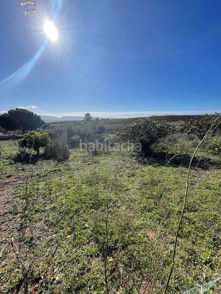 Foto 926a4ed2-3bd6-4b4b-a91b-c0a35606079d. Masia a Arcos de la Frontera