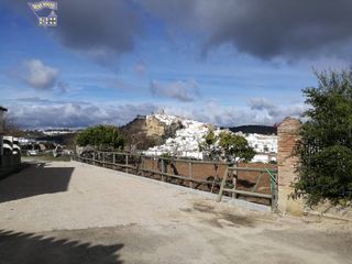 Location Maison à Arcos de la Frontera. Alquiler de casa de campo para profesores cercana al pueblo