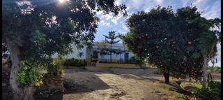 Bauernhof in Arcos de la Frontera. Se vende finca en zona el romeral