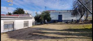 Mas à Arcos de la Frontera. Se vende finca en zona el romeral