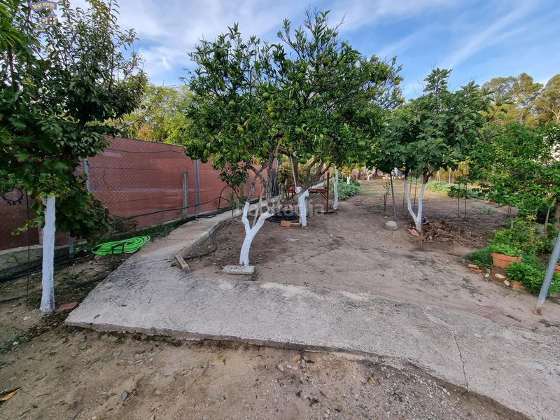 Foto 052abde9-b68c-4fea-ad1b-896981429d3d. Masia a Arcos de la Frontera