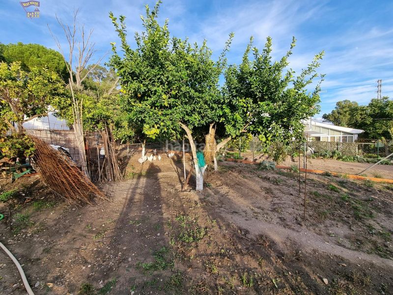 Foto 1c62748a-8e33-4af2-aaf6-da32d0ac35e7. Masia a Arcos de la Frontera