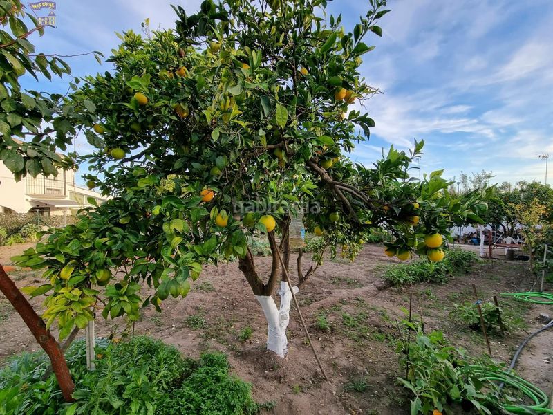 Foto 41f5ff40-c594-4d47-9da4-b5a7a83376ef. Masia a Arcos de la Frontera