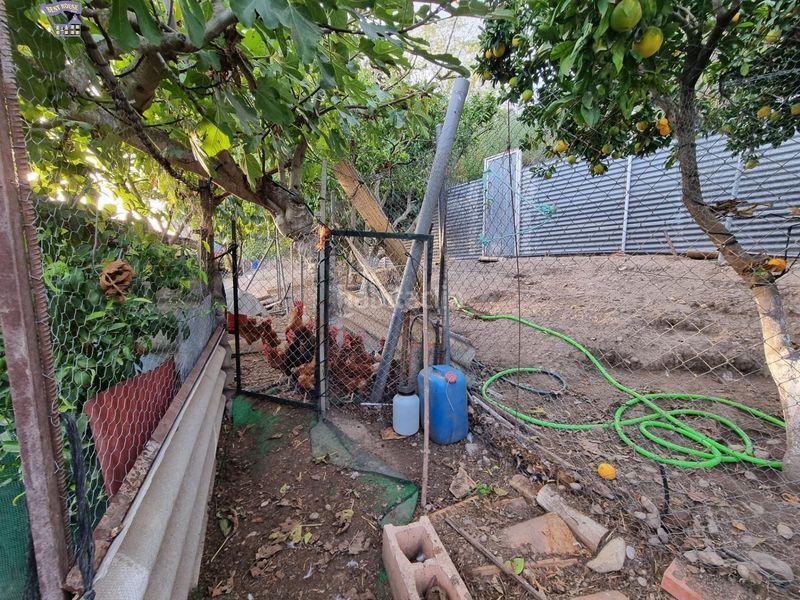 Foto 45edc45c-dda0-4f01-bd8c-884c4c8f98a9. Masia a Arcos de la Frontera