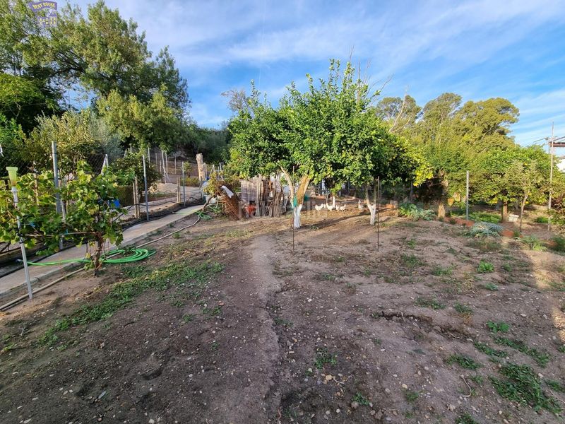 Foto 57849b8a-89d0-40a2-b7a3-50b84b689e03. Masia a Arcos de la Frontera