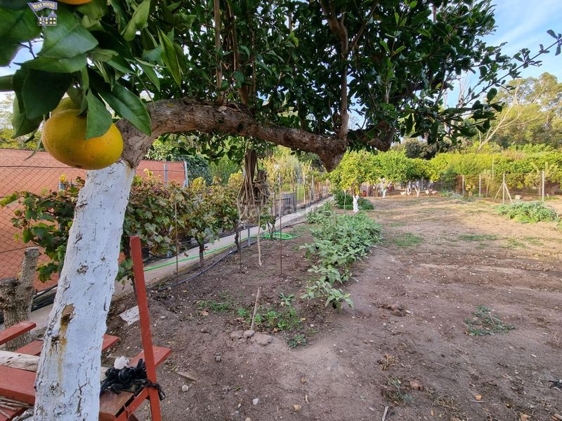 Foto 678393c3-9468-4ed2-b253-aa168fddcffa. Masia a Arcos de la Frontera